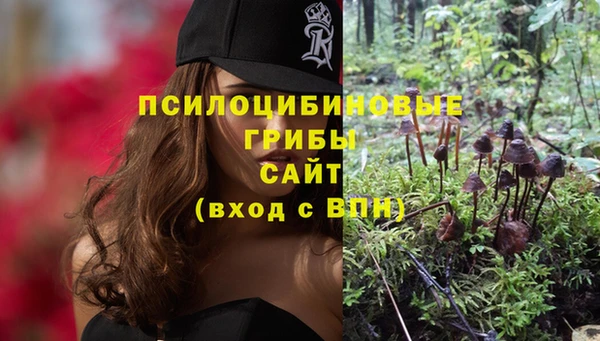 прущая мука Новодвинск