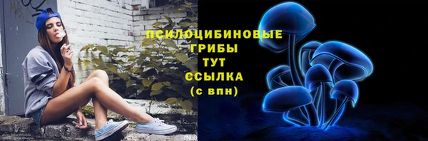 COCAINE Новозыбков