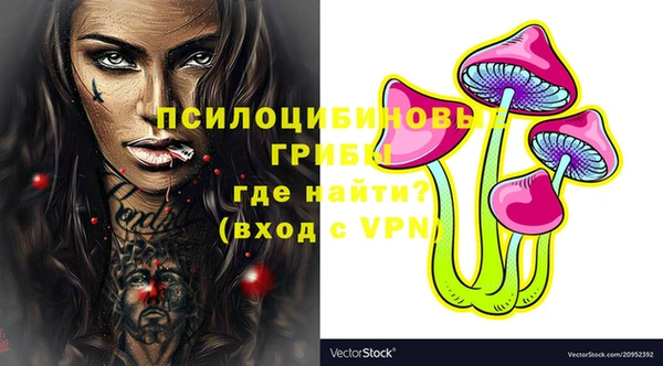 прущая мука Новодвинск
