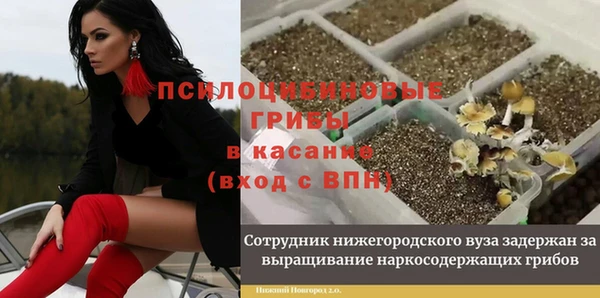 прущая мука Новодвинск